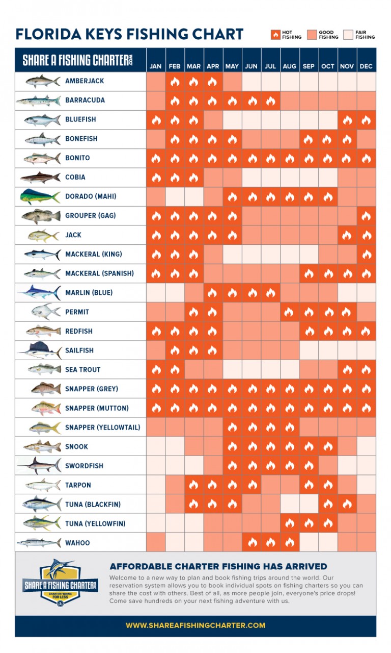 Florida Keys Fishing Chart HotPicture
