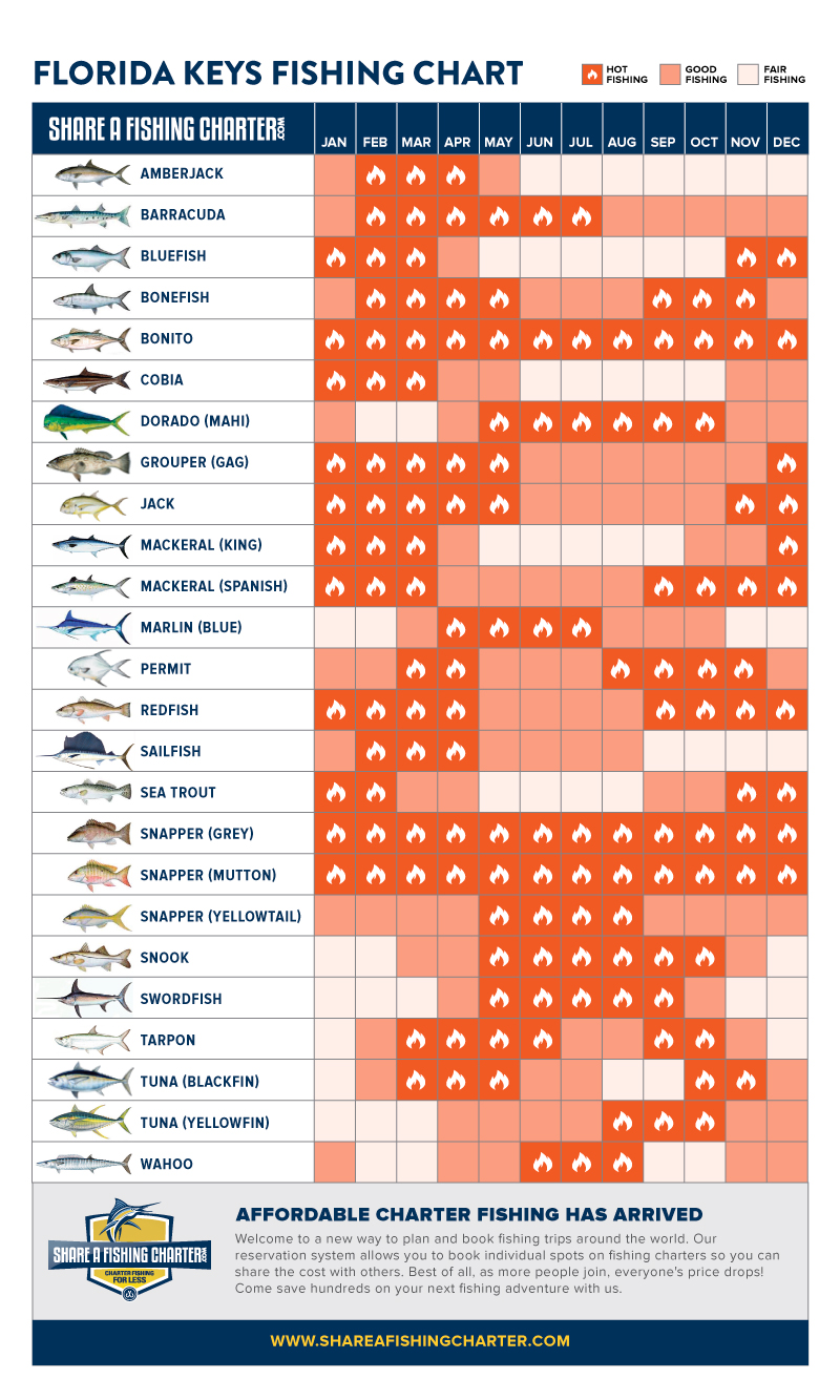 Fishing Calendar - Wild Bill Key West Fishing Charter