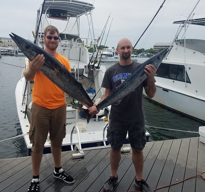 wahoo-n-sushi-at-the-dock-today-wild-bill-key-west-fishing-charter