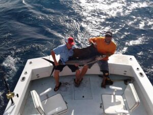 Sailfish wild Bill