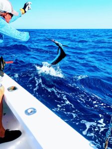 One full day ocean fishing adventures for up to three people