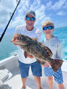 black grouper