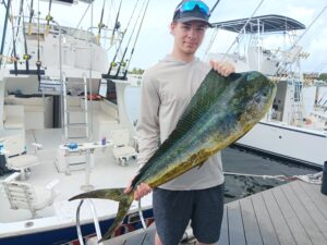 Mahi mahi