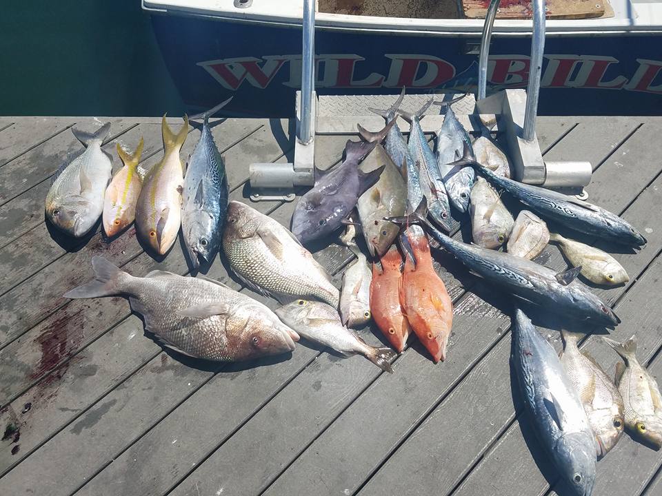 Tough offshore fishing since the front, but inshore has been hot!!
