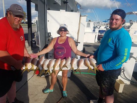 Some nice Yellowtail snappers today
