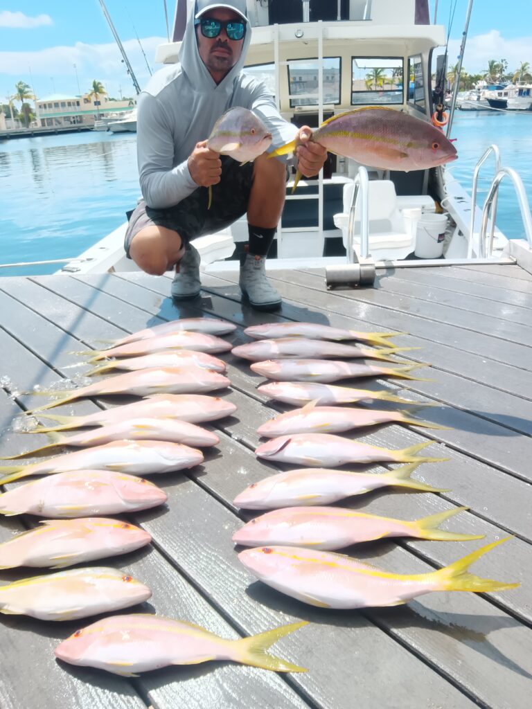 Nice Mahi Mahi Still Around Charter Fishing Key West