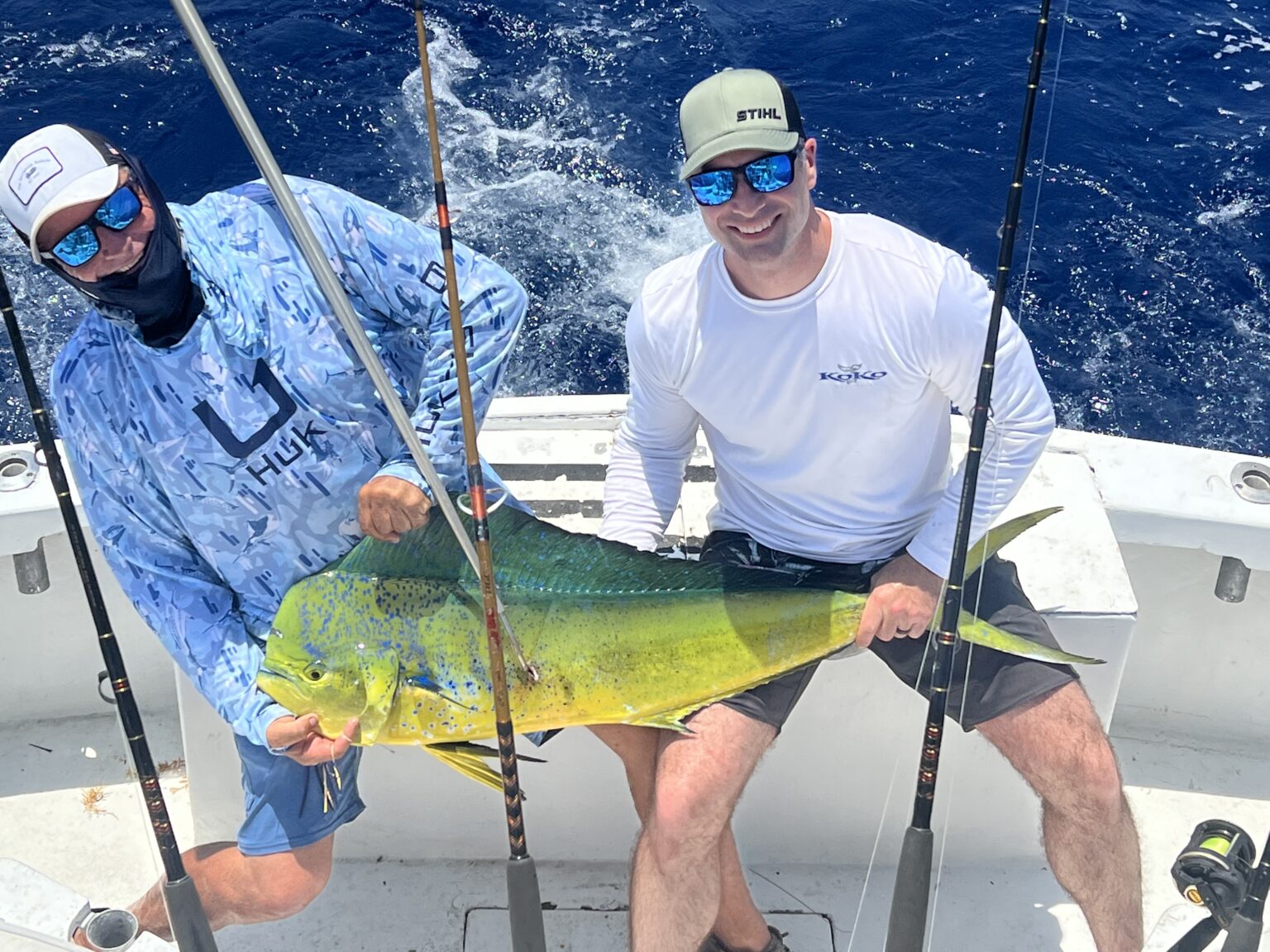 Dolphin Key West style • Charter Fishing Key West