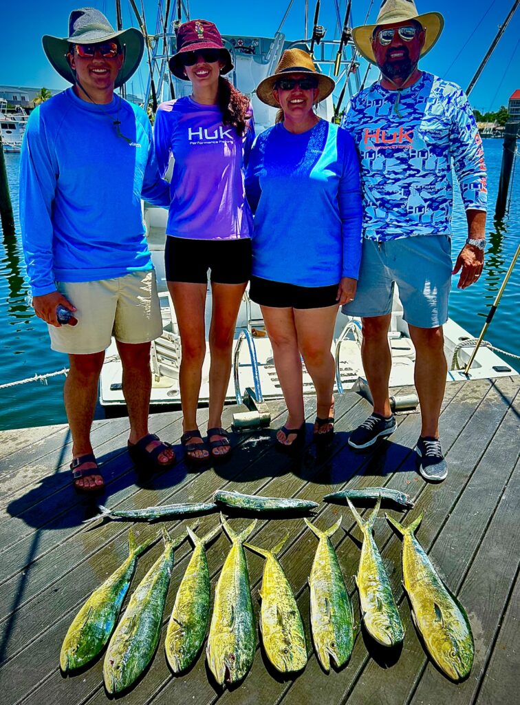 Dolphin Key West style • Charter Fishing Key West