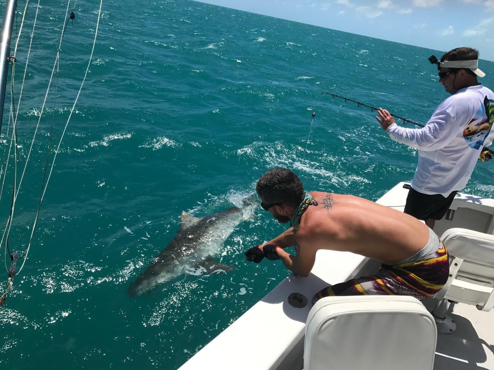 Shark fishing Key West