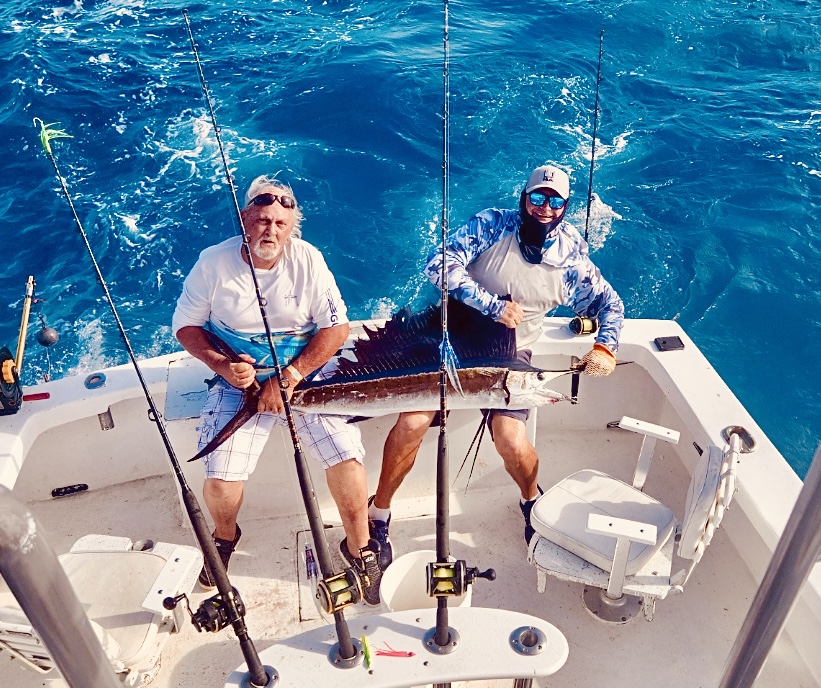 Sailfish Surprise